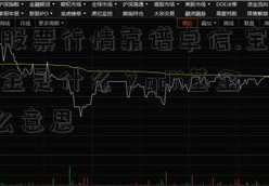 [今日股票行情靠谱卓信.宝必选]qdii基金是什么？qdii基金是什么意思