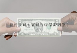 宝付支付（宝付支付最新消息）