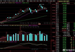 基金公司 跟随投资-，投资抖音的基金公永贵电器司