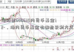 场股票600635内货币基金t 2-，场内货币基金有哪些获利方式