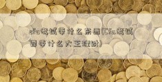 cfa考试带什么东西(Cfa考试要带什么大王理财)