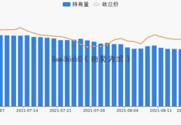 linethick0（出资方式）