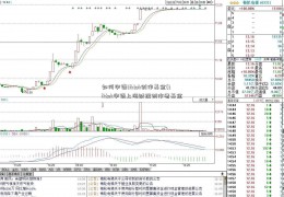 如何申请tiktok创作基金(tiktok申请上海财经创作者基金)