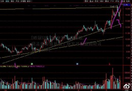 [股票600756]申万菱信新经济基金净值查询（申万菱信新经济基金310358）