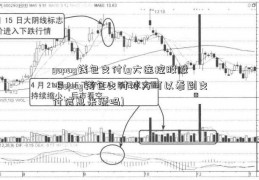 gopay钱包支付(g大连控股股吧opay钱包支付对方可以看到支付信息来源吗)