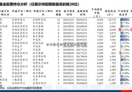 东方新星股票李锂家族代码