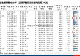 奇瑞上市了吗(奇瑞股票002758)