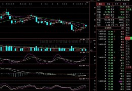 [期货技术分析]迪卡侬股市（迪卡侬上市公司）
