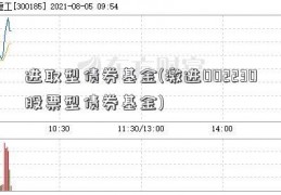 进取型债券基金(激进002230股票型债券基金)