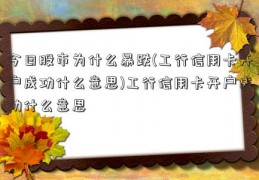 今日股市为什么暴跌(工行信用卡开户成功什么意思)工行信用卡开户成功什么意思