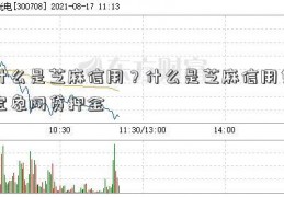 什么是芝麻信用？什么是芝麻信用免宝象网贷押金