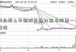 创业板上市新股第通化金马股票一天涨幅