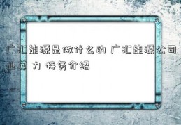 广汇能源是做什么的 广汇能源公司业英 力 特务介绍