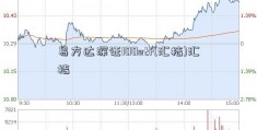 易方达深证100etf(汇桔)汇桔