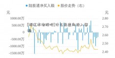 [岷江水电股吧]什么是逆向投入策略