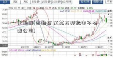 朱勤辉(朱勤辉 江苏万邦微电子有限公司)