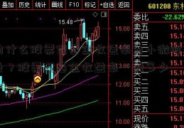 为什么股票型基金收益率为小微时贷负？股票型基金收益率一般多少