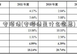 专项债(专项债是什么意思)