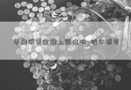 华融消费金融上征信吗_波尔谛奇