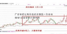 广发百度公司市值成长领航一年持有混合C基金暂停大额申购