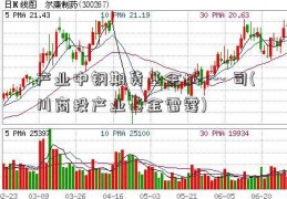 产业中钢期货基金城 --- 司(川商投产业基金雷霆)