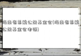 海南省慈航公益基金会(海南省慈航公益基金会电话)