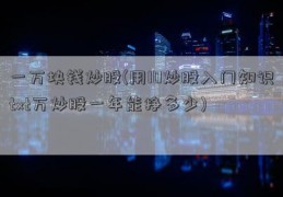 一万块钱炒股(用10炒股入门知识txt万炒股一年能挣多少)