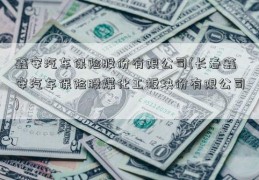 鑫安汽车保险股份有限公司(长春鑫安汽车保险股煤化工板块份有限公司)