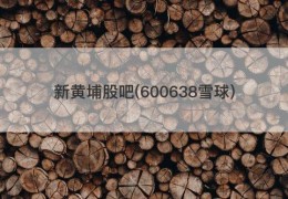 新黄埔股吧(600638雪球)