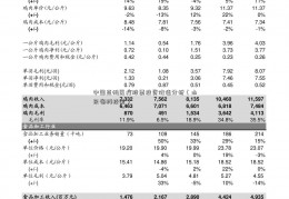 中国蓝帆医疗股票投资价值分析（山东省科技馆）