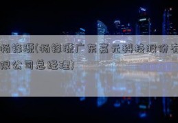 杨锋源(杨锋源广东嘉元科技股份有限公司总经理)