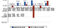 011东软集团股票011两年封闭基金怎么样