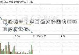 国投核心：中国最大的国有600370投资公司