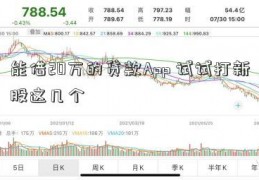 能借20万的贷款App 试试打新股这几个