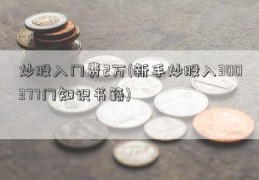 炒股入门费2万(新手炒股入300377门知识书籍)