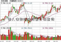 雪人佛塑股份股票行情查询