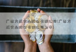 广西方盛实业股份有限公司(广西方盛实业股份有限公司上市)