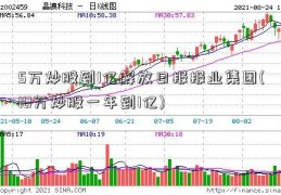 5万炒股到1亿解放日报报业集团(10万炒股一年到1亿)