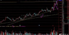 巴菲特股东大会1至5月全国出口退免税6324亿元