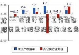 工行 --- 云是什么？工行生态云服务是什股票投资策略么意思