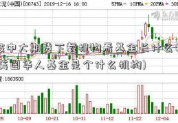 被中大期货下载机构看基金长什么样(美国华人基金是个什么机构)