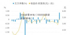 21世纪资本论（002656摩登大道股吧）