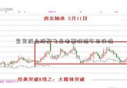 宜宾纸业股聚飞光电票价格今日行情