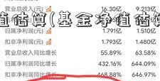 基金净值估算(基金净值估算哪里看)