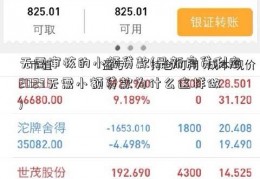 无需审核的小额贷款(最新房贷利率2023无需小额贷款为什么这样做)