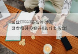 基金511660怎么买卖(511嘉实海外净值660是什么基金)