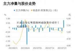 大亚圣象公司简燃料油期货行情介（大亚圣象）