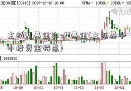 主动型基金和etf基金(主动基中小投资金特点)