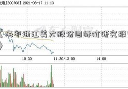 《海印浙江美大股份目标价研究报告》