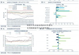 两会什么基金会涨2021(年底什么神秘的财富卡基金会涨)